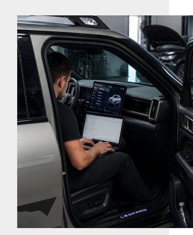 Русификация BYD Leopard 3 в Новокуйбышевске по цене от 20382 р. | ФастМобиль-Нвб