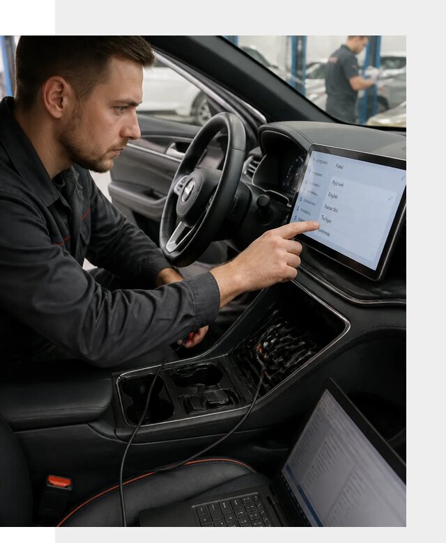 Профессиональная русификация BYD SONG Plus в Новокуйбышевске